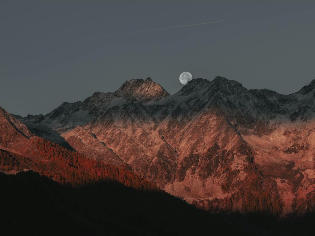 Black Qilai Tales (1)