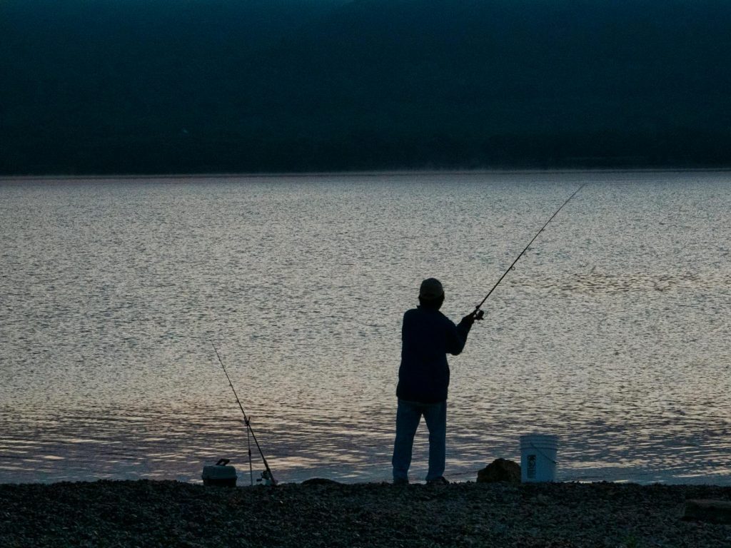 A lot, a lot, a lot of&nbsp;Fish